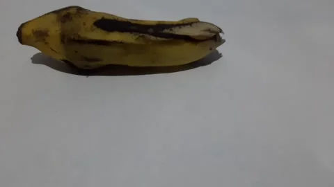 A video shows a yellow Video stock 304087550