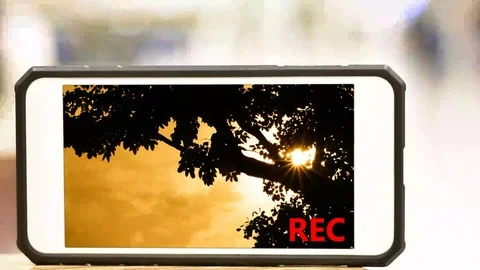 Video silhouette tree with movement by windy on orange sunset cloudy sky Video stock 90809795
