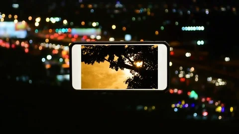 Video silhouette tree with movement by windy on orange sunset cloudy in phone Video stock 91009896