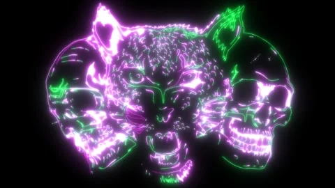 Video of skulls head with leopard. Stock Footage 274652354