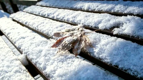A video with a slider one leaf in the white snow park benches. Stock Footage 145967266