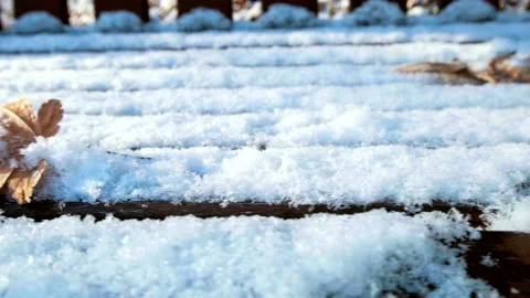 A video with a slider one leaf in the white snow park benches. Vidéo 145967293