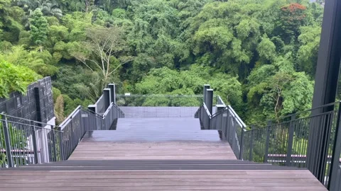 Video slow motion walking down wooden stairs towards green forest scenery Stock Footage 322594152