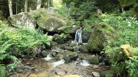 Video of a small creek in a forest Stock Footage 26159598