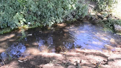 Video of a small stream in a park Stock Footage 127191104