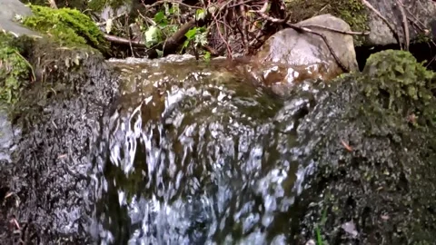 Video of small waterfall in the Alsace region Video stock 152606337