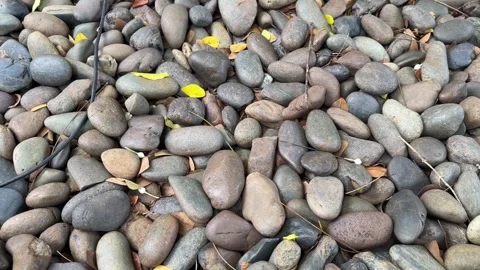 Video of smooth river rocks with scattered yellow leaves Stock Footage 321182348