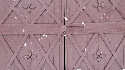 Video of snow in Romania Stock Footage 300889587