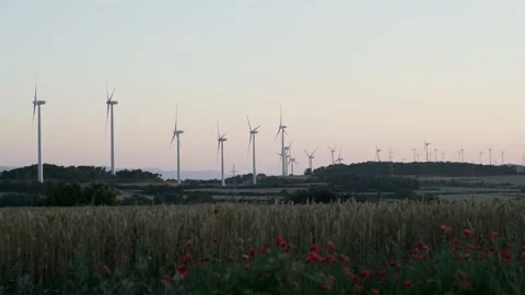 Video of some wind turbines standing on a field of ears. The concept of clean Stock Footage 154117669