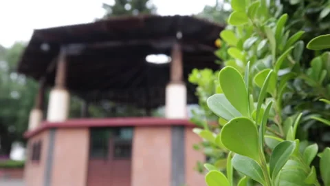 Video still image double focus of green leaves to village kiosk Stock Footage 188382932