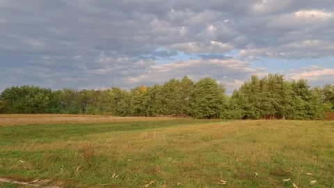 Video with strong wind in Maramures county, Romania, at the end of September Stock Footage 286229554