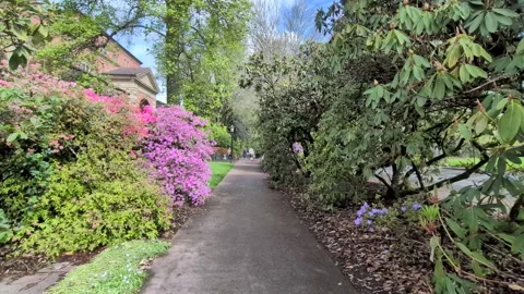 Video of students and joggers using a scenic Oregon State University Stockbeeldmateriaal 341706120