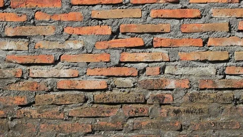 Video of a sturdy old brick wall full of moss Stock Footage 282228331