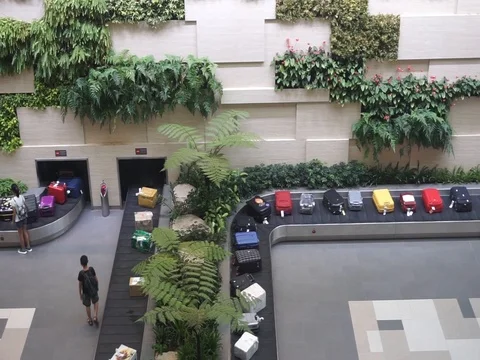 Video super wide angle view of luggage suitcase on the conveyor w Stock Footage 95079699