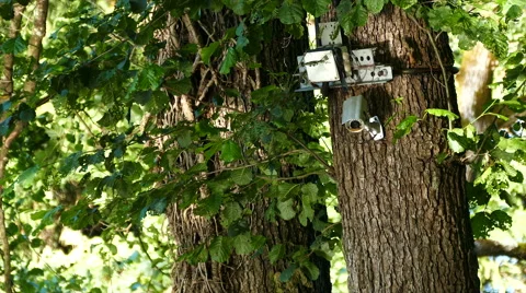 Video surveillance system in the park, next to the river - 4K Stock Footage 67174997