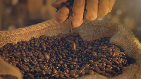 Video of taking coffee beans in real slow motion Stock Footage 75178150