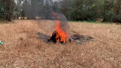 Video of things burning in a wheat field. Stock Footage 250725587