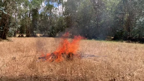 Video of things burning in a wheat field. Stock Footage 250725611