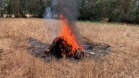 Video of things burning in a wheat field. Stock Footage 250726402