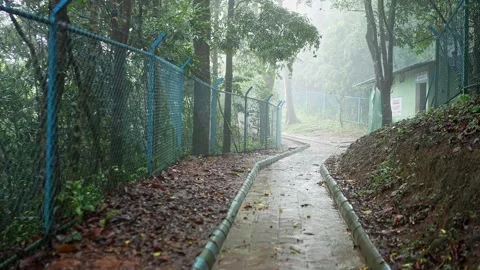 A video of a tiled pathway to Bisle Ghat viewpoint, winding through lush fo.. Video stock 332355438