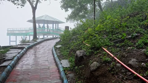 A video of a tiled pathway to Bisle Ghat viewpoint, winding through lush fo.. Stockbeeldmateriaal 332355458