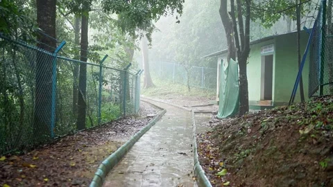 A video of a tiled pathway to Bisle Ghat viewpoint, winding through lush fo.. Stockbeeldmateriaal 332355475