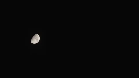 Video time lapse of the moon hiding behind branches. Stockbeeldmateriaal 98494575