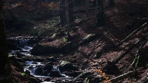 Video of a tiny creek with small amount of pure mountain running water over s Stock Footage 122425587