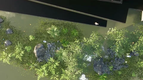 Video top view of the coastline Stock Footage 136888560