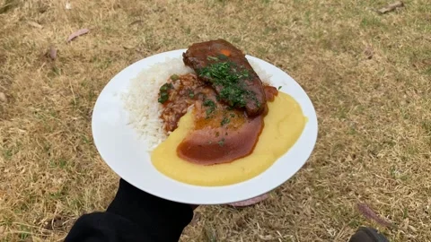 Video of traditional Peruvian dish called "Asado con Pure". Stock Footage 250727576
