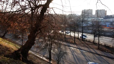 Video of traffic on urban boardwalk Stock Footage