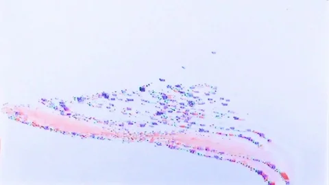 Video Trail Stock Footage 74149293