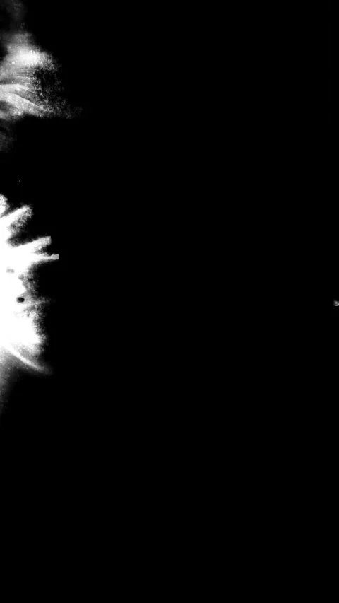 Video transition ink dripping onto an alpha channel. 스톡 동영상 264755887