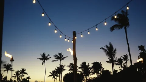 Video of Tropical Sunset with Palm Tree Silhouettes Stock Footage 335486038