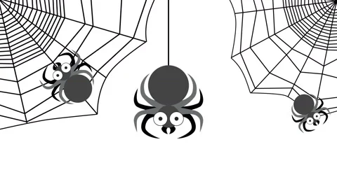 Video two cobwebs and three spiders crawling Stock Footage 162360671
