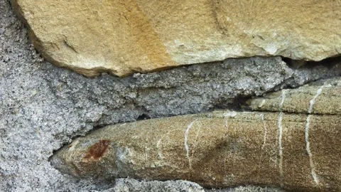 Video of typical stone wall of an ancient Italian house Stock Footage 113072095