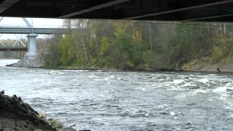 Video under the bridge, river flow, rocky bank Stock Footage 275335903