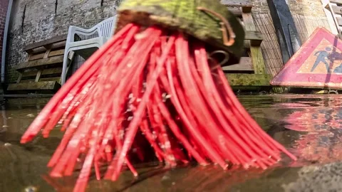 Video using a broom to clean a deck. 스톡 동영상 332800202