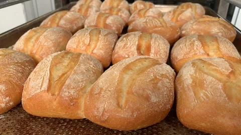 Video of various ciabatta breads in a bakery. Food and industry concept. Stock Footage 262344067