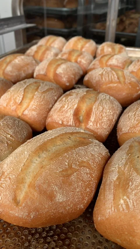 Video of various ciabatta breads in a bakery. Food and industry concept. Stock Footage 262344068