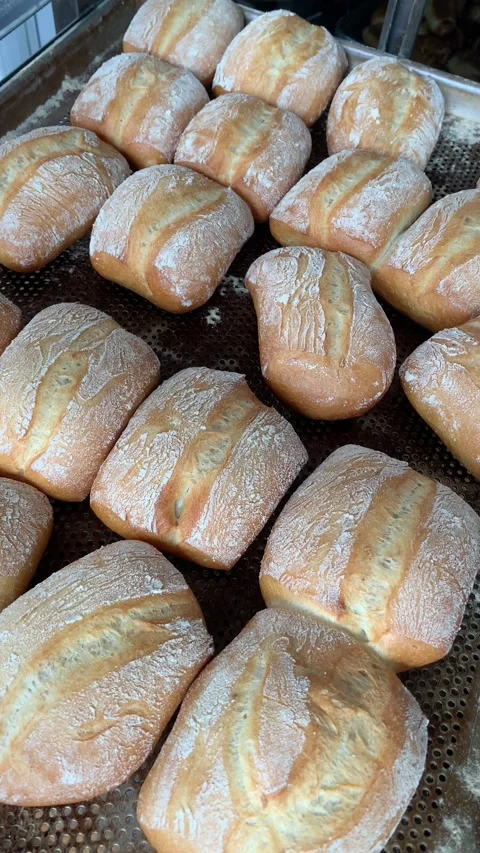 Video of various ciabatta breads in a bakery. Food and industry concept. Stock Footage 262344205