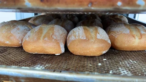 Video of various ciabatta breads in a bakery. Food and industry concept. Stock Footage 262344406
