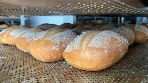 Video of various ciabatta breads in a bakery. Food and industry concept. Stock Footage 262344443