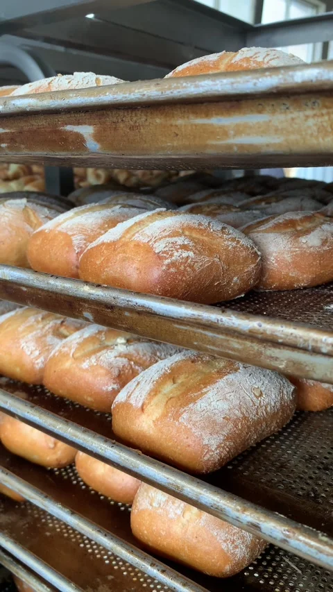 Video of various ciabatta breads in a bakery. Food and industry concept. Stock Footage 262344927