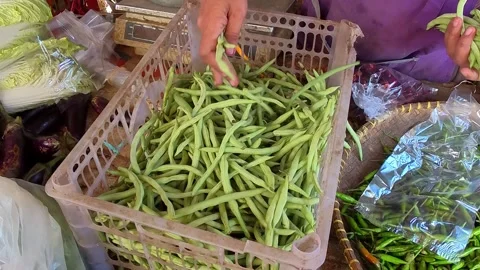 A video of a vegetable vendor selecting fresh green beans Stock Footage 344953908