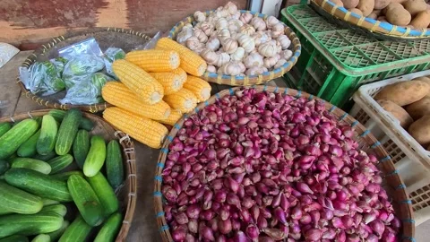 Video of Vibrant vegetables fill a bustling market stall. Stock Footage 341378218
