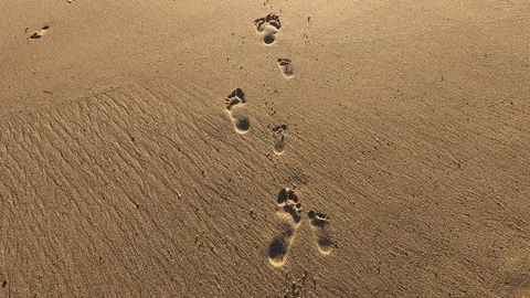Video of walking in the sand towards the ocean. Stock Footage 120000419