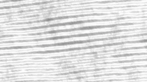 Video wallpaper with moving curved stripes. Stockbeeldmateriaal 344822249