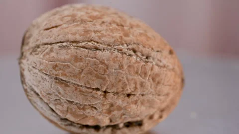 Video of a walnut in its shell Stock Footage 328426503