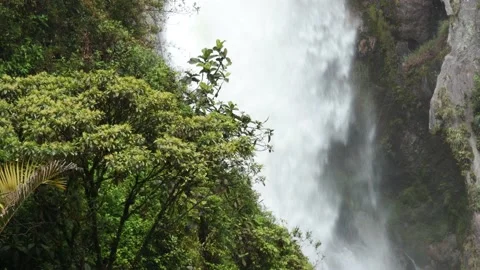 Video of water falling in a waterfall. Concept nature and rivers. Stock Footage 238966202